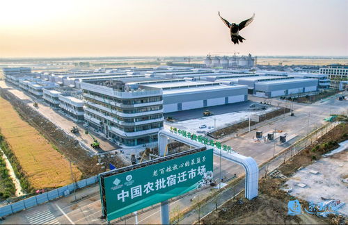 產(chǎn)業(yè)旺、村和美、同致富 宿遷集成推進(jìn)鄉(xiāng)村全面振興的建筑工程實踐