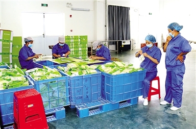 農產品豐收促進地方經濟蓬勃發展